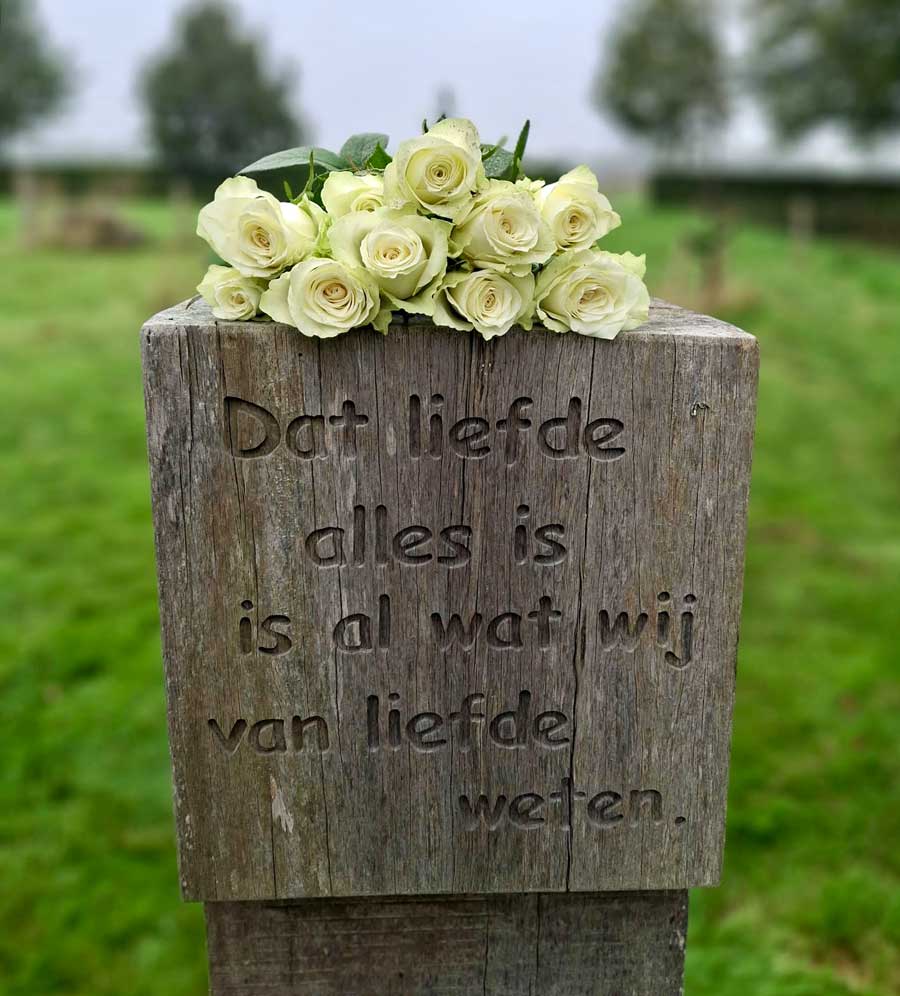 Natuurbegrafenis roosjes