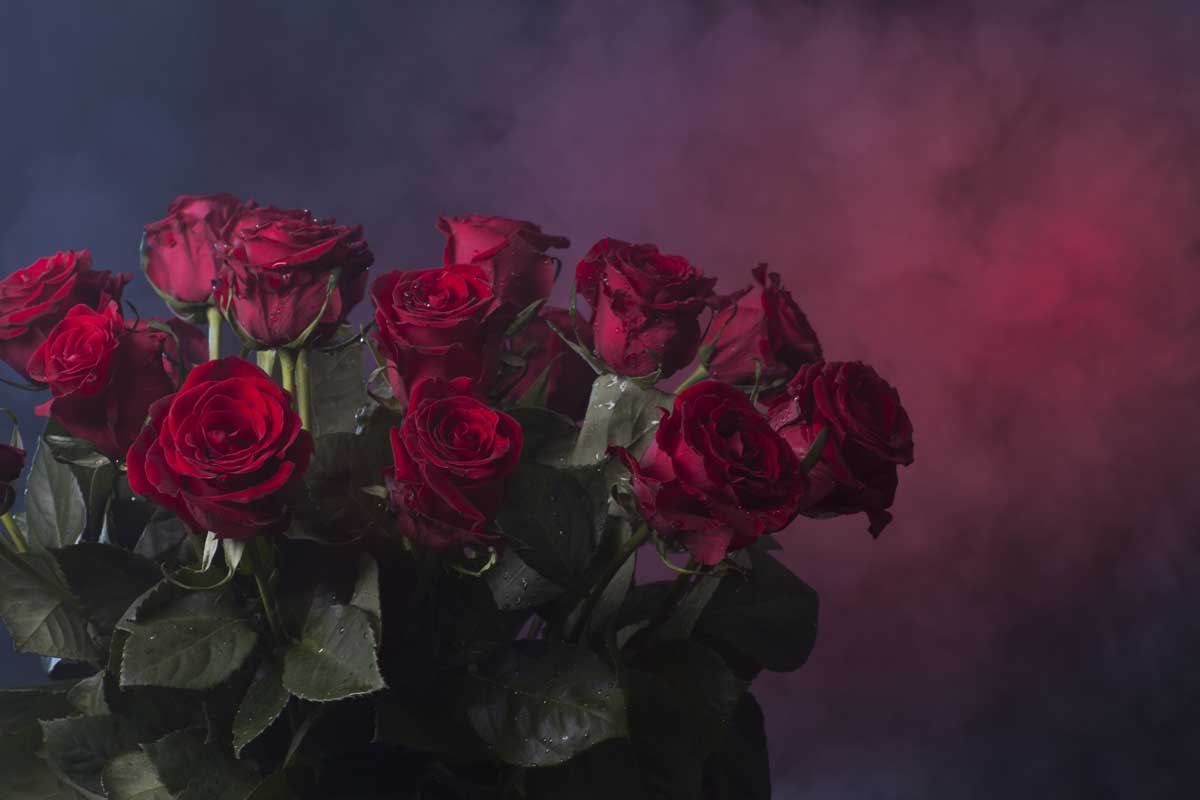 Hemel van rood en rozen