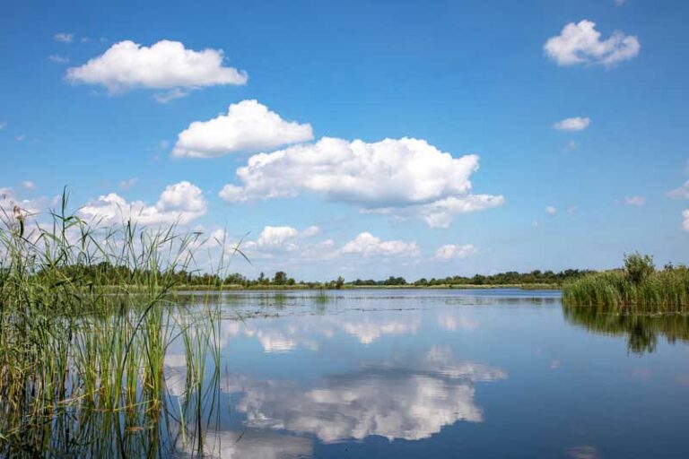 uitvaartzorg in Nederhorst den Berg Ankeveen